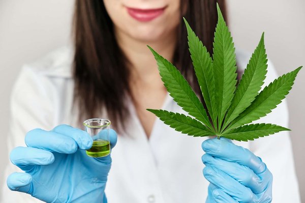 Le CBD bio : ses avantages pour les consommateurs et l'environnement
