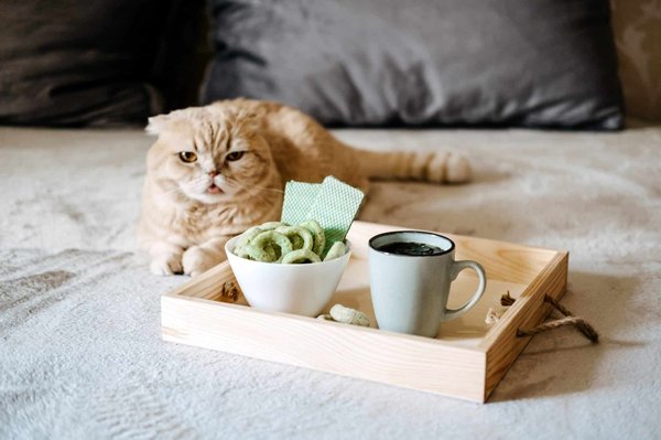 Quelques astuces pour une bonne infusion au CBD